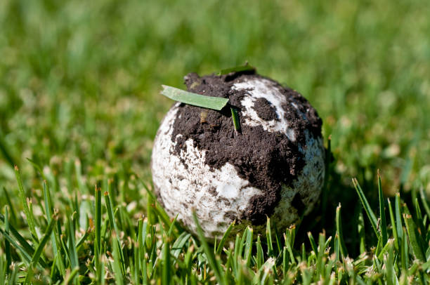 How Do You Make Old And Dirty Golf Balls Look New?